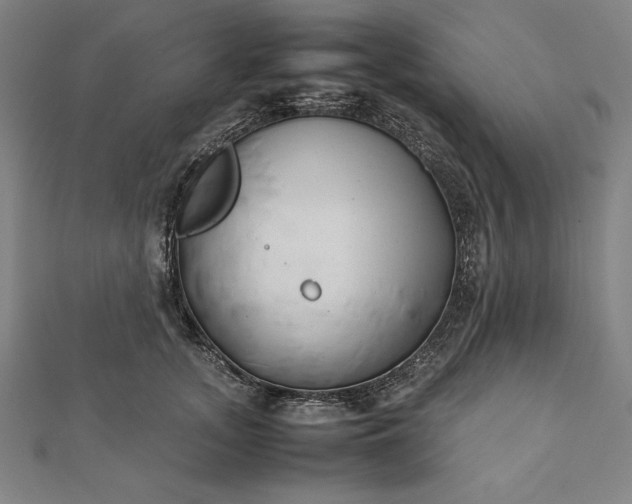 X0000112050755200908181136