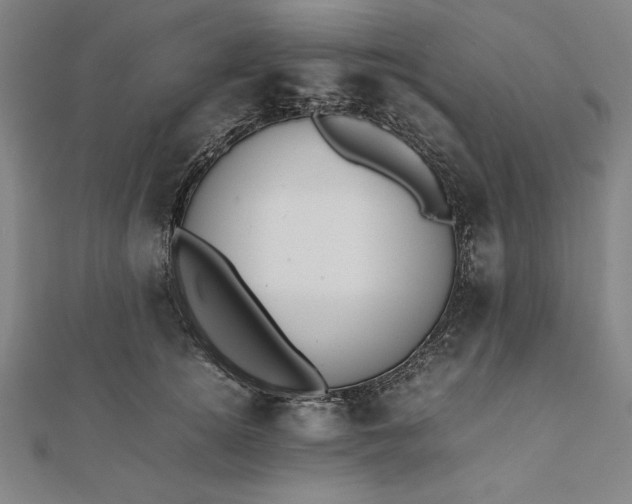 X0000112050756200908181136