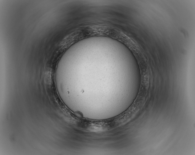 X0000112050757200908181136