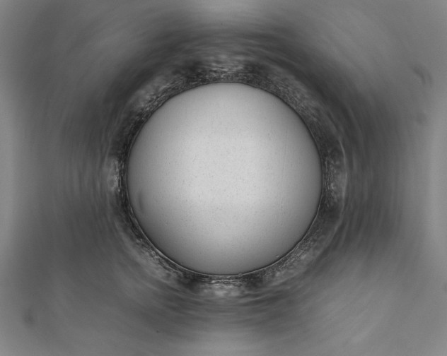 X0000112050758200908181136