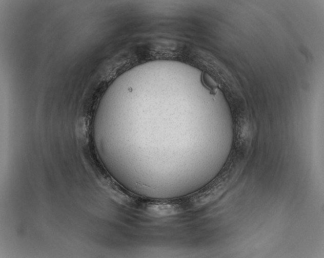 X0000112050759200908181136