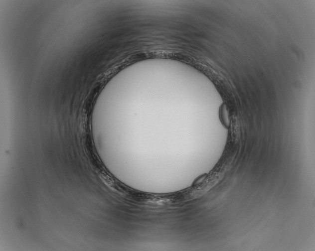 X0000112050760200908181136