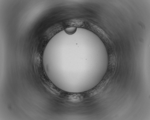 X0000112050761200908181136