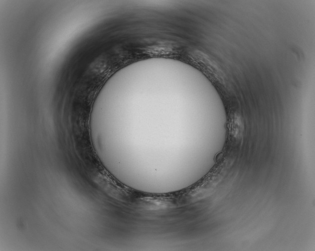 X0000112050763200908181136