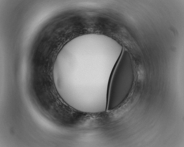 X0000112050764200908181136