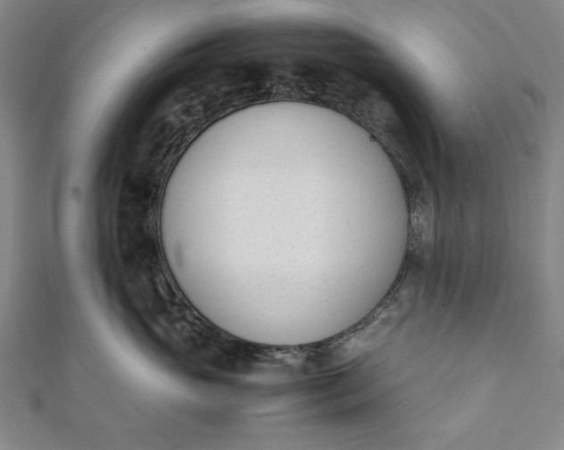 X0000112050765200908181136