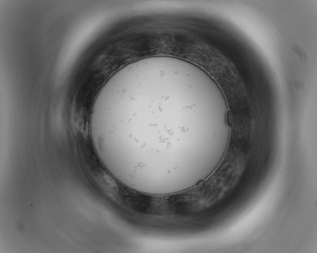 X0000112050766200908181136