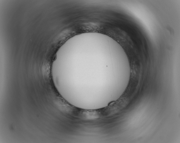 X0000112050767200908181136