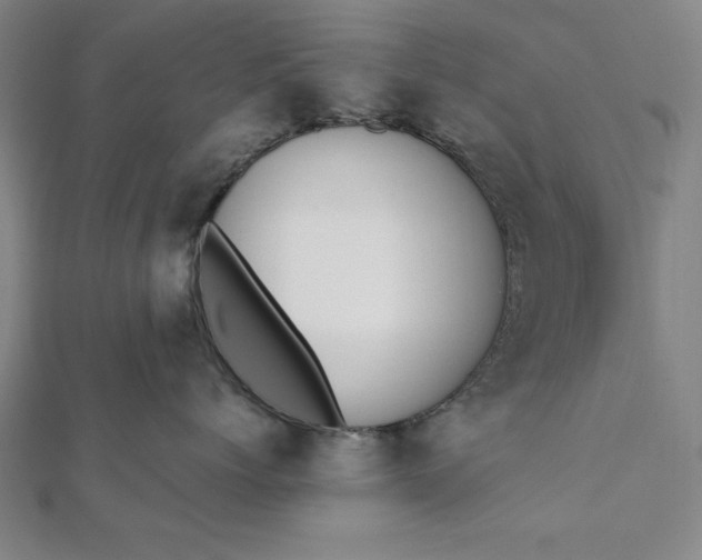 X0000112050768200908181136