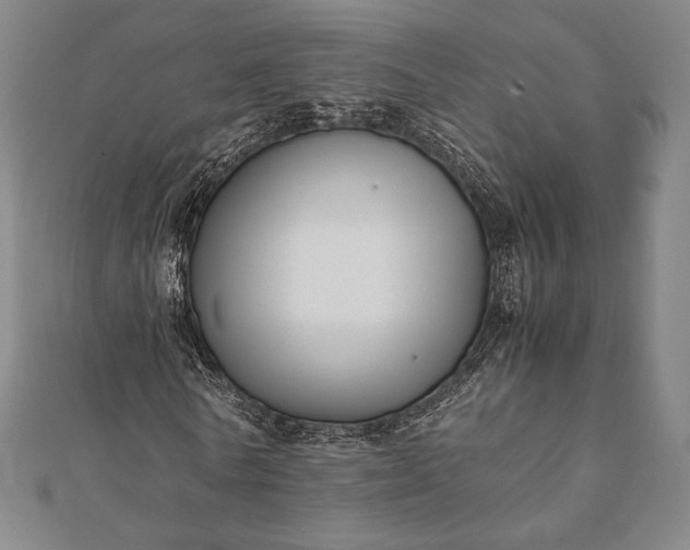 X0000112050770200908181136