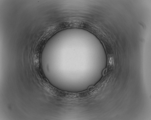 X0000112050771200908181136