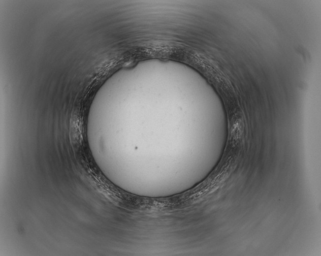 X0000112050772200908181136