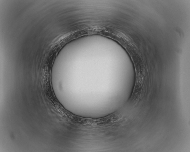 X0000112050773200908181136