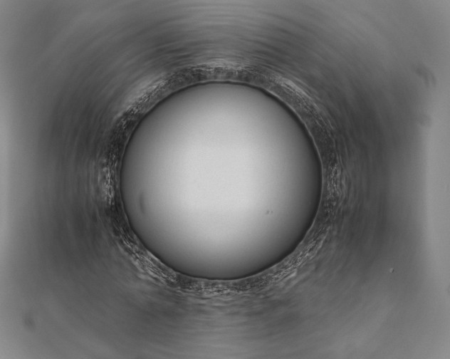 X0000112050774200908181136