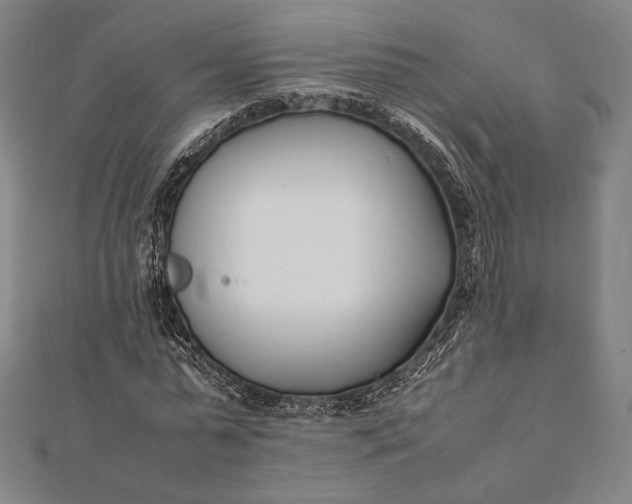 X0000112050775200908181136