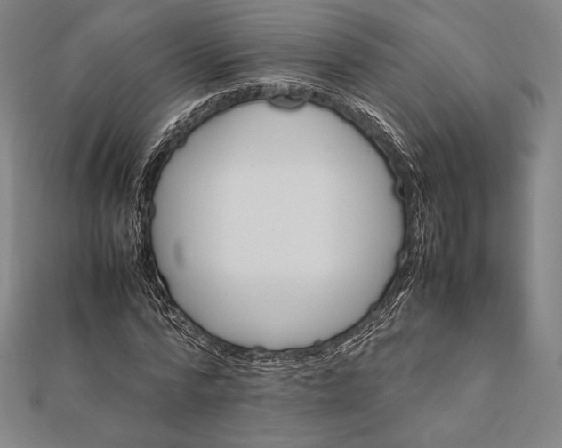 X0000112050776200908181136