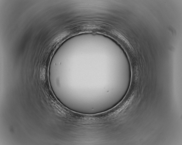 X0000112050777200908181136