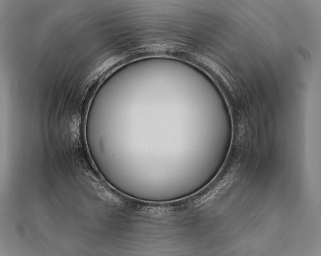 X0000112050778200908181136