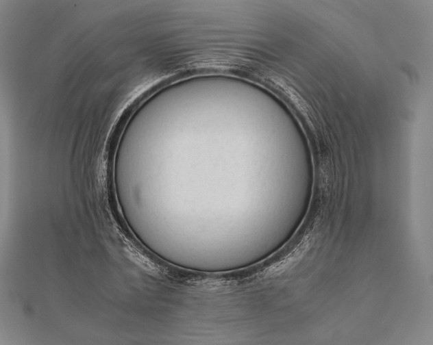 X0000112050779200908181136