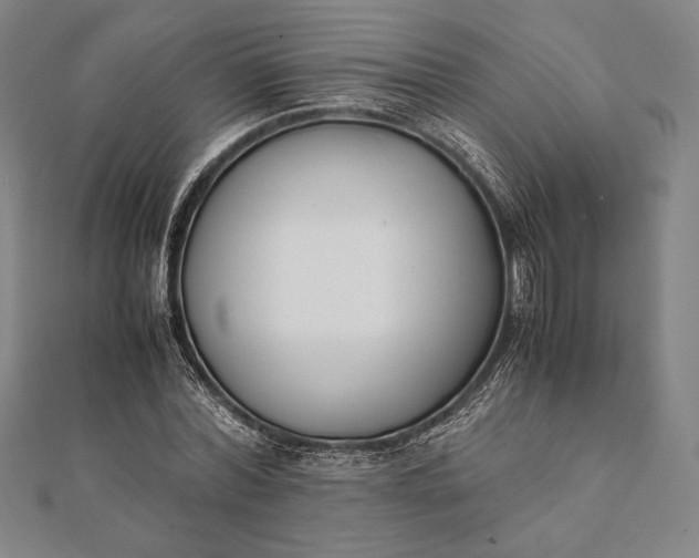 X0000112050780200908181136