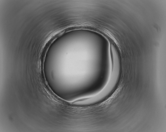 X0000112050781200908181136