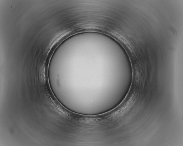 X0000112050782200908181136