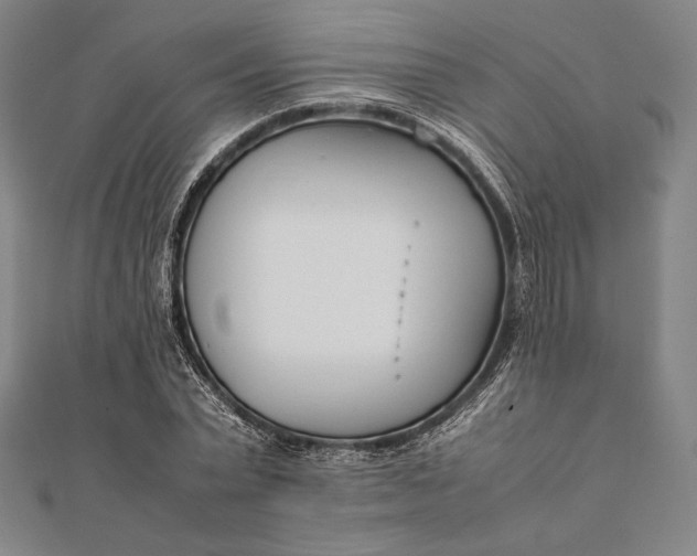 X0000112050783200908181136