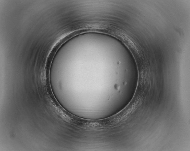 X0000112050784200908181136