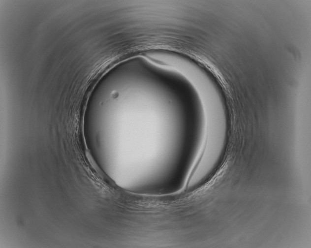 X0000112050785200908181136