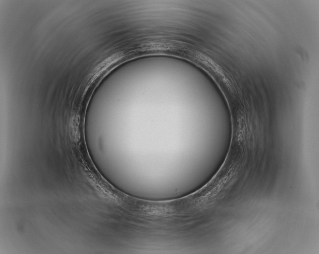 X0000112050786200908181136