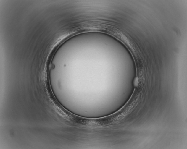 X0000112050787200908181136