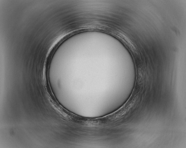 X0000112050788200908181136