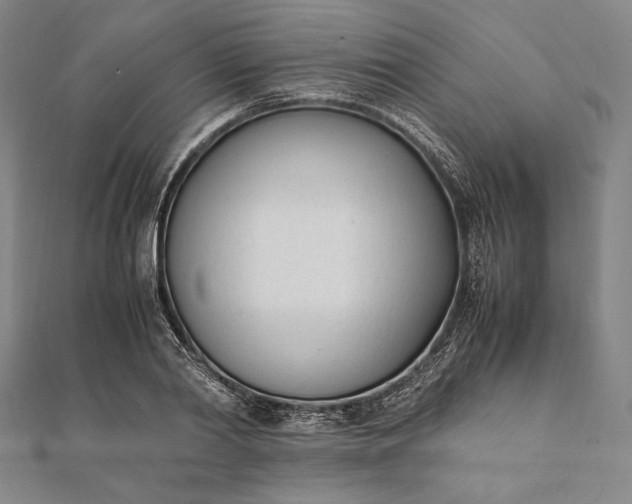 X0000112050790200908181135