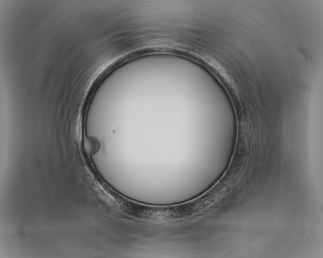 X0000112050791200908181135