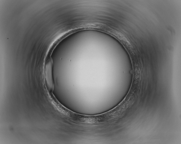 X0000112050792200908181135