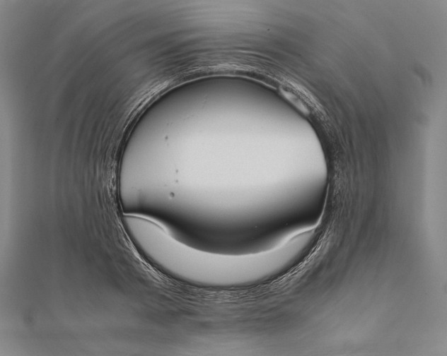 X0000112050793200908181135