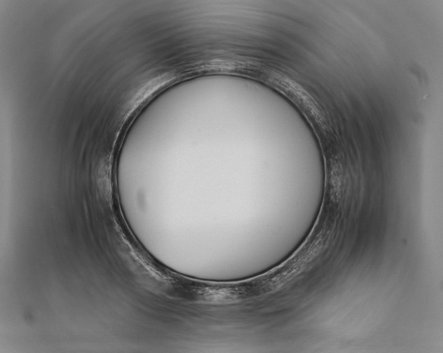 X0000112050794200908181135