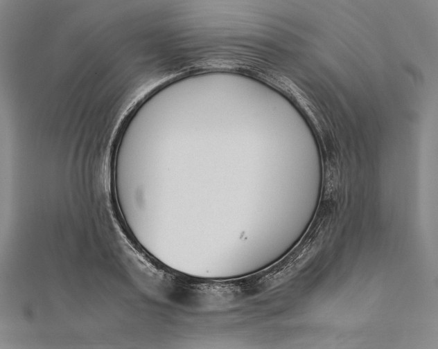 X0000112050795200908181135