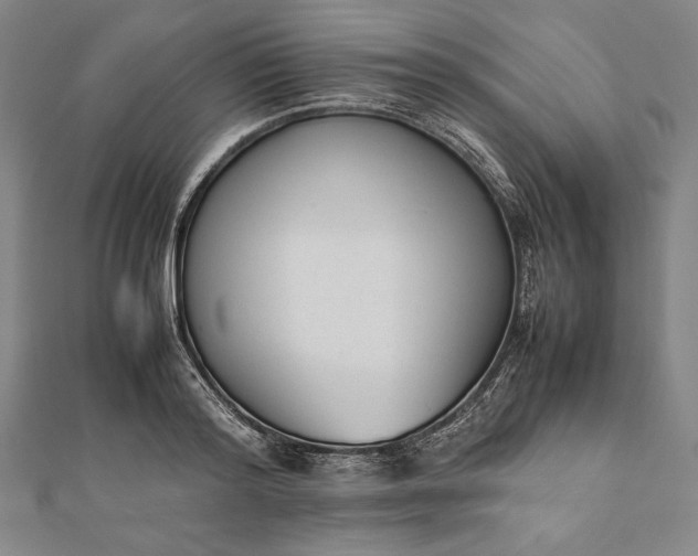 X0000112050796200908181135