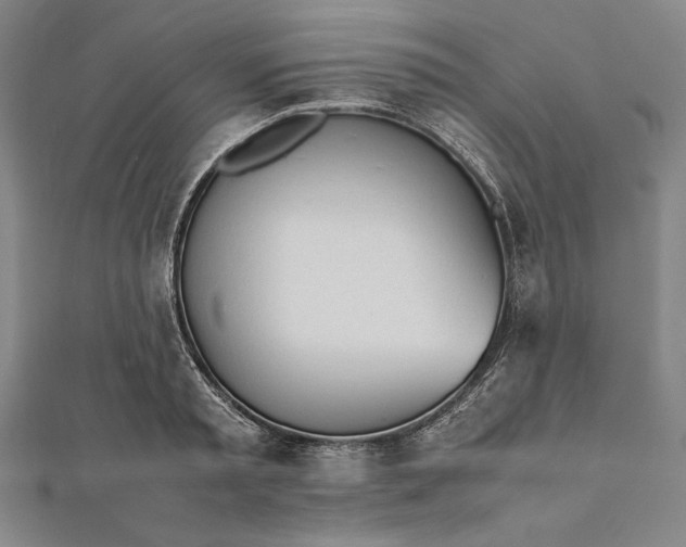 X0000112050797200908181135