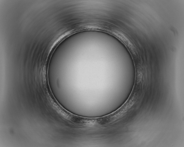 X0000112050798200908181135