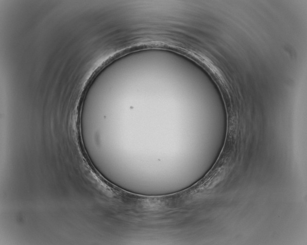 X0000112050799200908181135