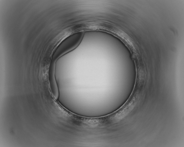 X0000112050801200908181135