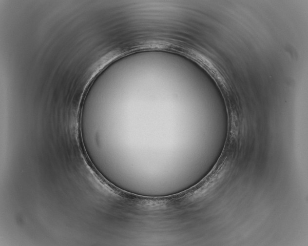 X0000112050802200908181135