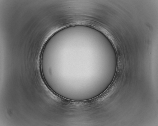 X0000112050803200908181135