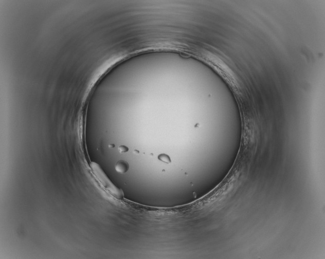 X0000112050804200908181135