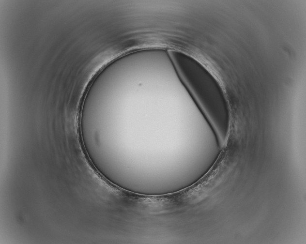 X0000112050805200908181135