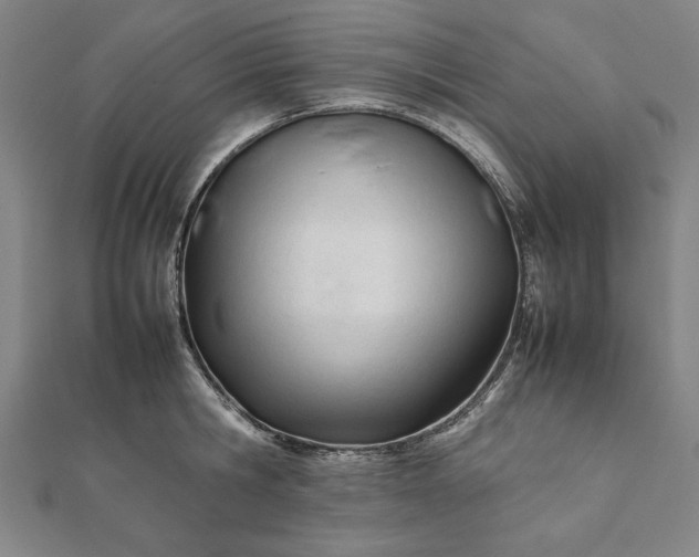 X0000112050806200908181135