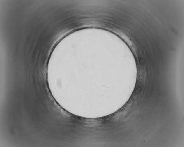 X0000112050807200908181135