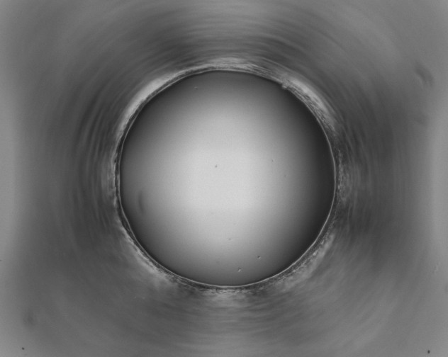 X0000112050808200908181135